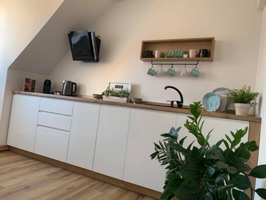Szepty Mansardy Apartamento Stary Toruń Exterior foto